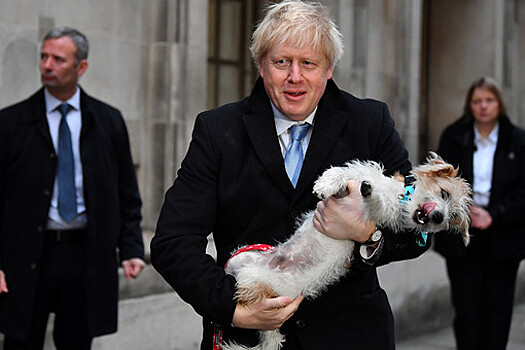 Британцы стали реже называть своих собак в честь Бориса Джонсона