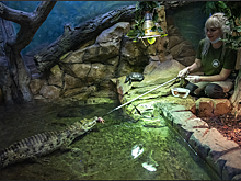 В Калининградском зоопарке пожаловались на «урезание Музейной ночи»