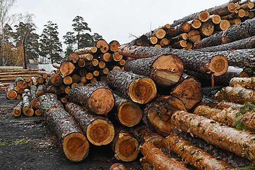Госкомпания по экспорту круглого леса начнет работу к концу года