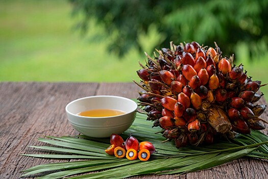 Малазийский Совет производителей пальмового масла приглашает на вебинар «Palm Oil: Price trends 2021»