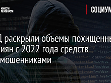 В МВД раскрыли объемы похищенных у россиян с 2022 года средств кибермошенниками