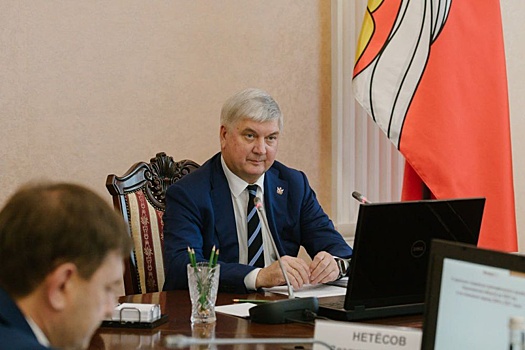 В правительстве Воронежской области рассмотрели проект бюджета на 2025 год