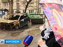 Воронежские улицы отчистят от брошенных авто