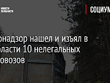 Госэконадзор нашел и изъял в Ленобласти 10 нелегальных мусоровозов
