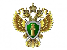 Ярославская область: руководство швейного предприятия ответит по закону
