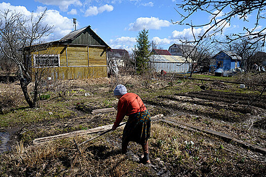 В России начали компенсировать ограничения на пользование землей