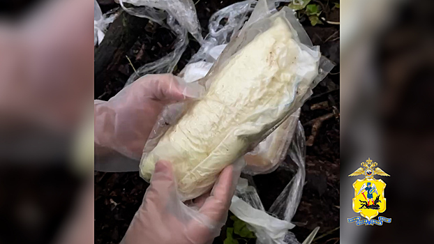 Полиция Архангельска изъяла 1 кг наркотиков, задержав организаторов и курьера теневого интернет-магазина