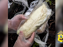 Полиция Архангельска изъяла 1 кг наркотиков, задержав организаторов и курьера теневого интернет-магазина