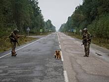 Киев начал эвакуацию жителей из подконтрольной ему части Херсонской области