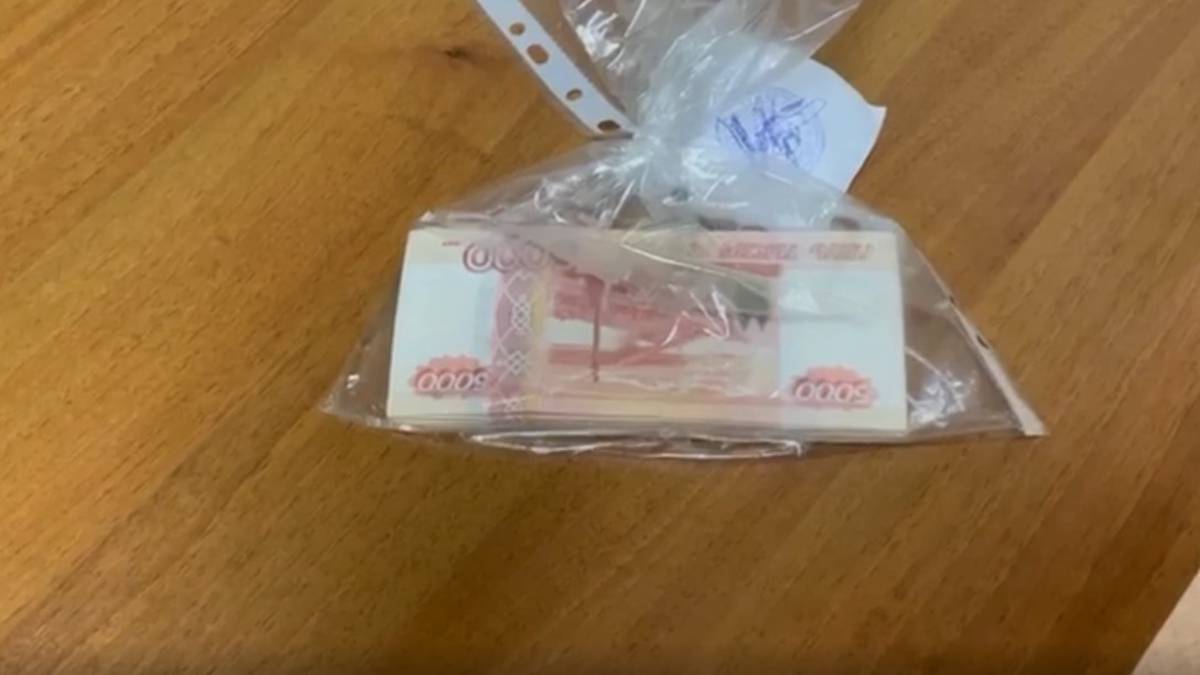 Грузчики в Домодедове вскрыли чемодан пассажирки и украли 600 тысяч рублей