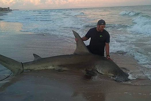 Мужчина поймал на удочку четырехметровую акулу