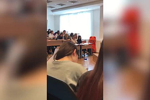 Студент в костюме кота воспользовался слабостью преподавателя и попал на видео