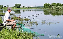 В Курской области могут запретить платную рыбалку на водоёмах предназначенных для рыборазведения