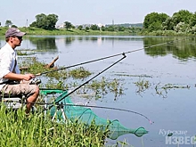 В Курской области могут запретить платную рыбалку на водоёмах предназначенных для рыборазведения