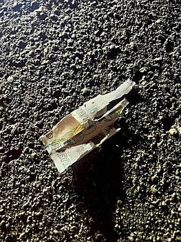 Озвучено поручение по делу подорвавшегося на бомбе с купюрой ребенка в Подмосковье