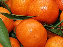 Врач предупредил об опасности мандаринов для некоторых категорий людей