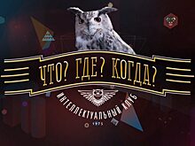 Телепроекты для любознательных