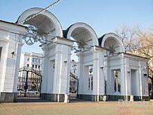 Скандал продолжается: у парка «Динамо» в Хабаровске начали вырубку деревьев