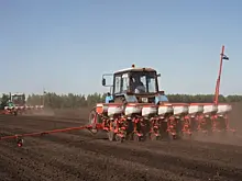 Антон Емельяненко оценил сельхозпотенциал Челно-Вершинского района