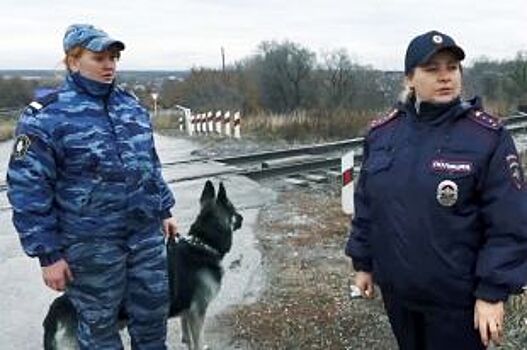 Полицейский пёс Нарзан помог спасти ребёнка в Белово