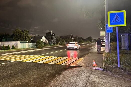 В Казани возбуждено дело после наезда на детей на пешеходном переходе