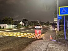 В Казани возбуждено дело после наезда на детей на пешеходном переходе