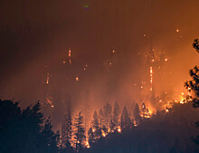 Лесные пожары вызывают стратосферное потепление