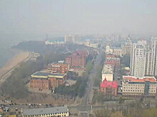 Дым от сибирских пожаров может дойти до Москвы