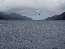 Главный охотник за лох-несским чудовищем вынес вердикт после 52 лет поисков