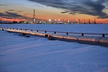 Майя Гойкович: Сербия не вводила и не будет вводить санкции против РФ