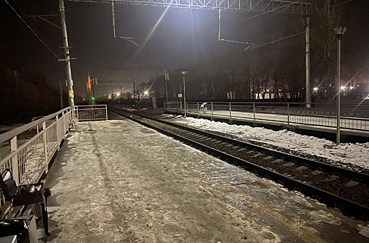 Под Новосибирском грузовой поезд насмерть сбил мужчину, сидевшего на путях