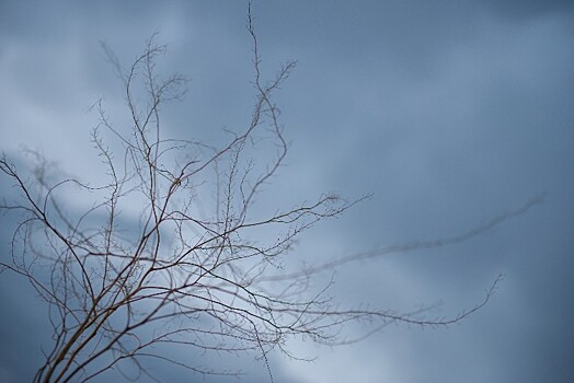 Под влияние черноморской депрессии попал Краснодарский край