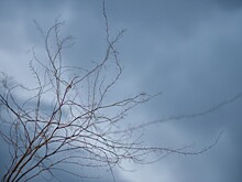 Под влияние черноморской депрессии попал Краснодарский край