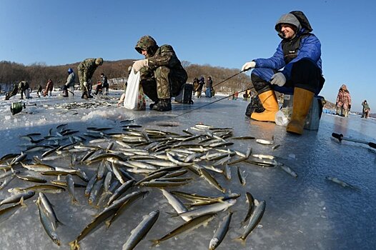 Из-за теплой зимы астраханские рыбаки не ждут большого улова
