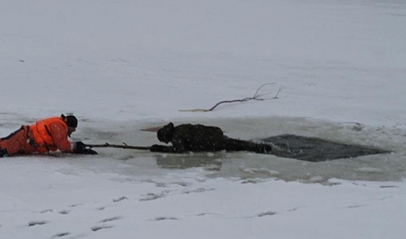 Под Волгоградом двое рыбаков провалились под лед