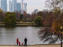 Голосование по озеленению дворов стартует в ноябре