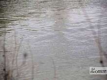 В Орске с 21 марта ожидается рост Урала