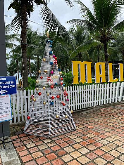 Рождественское дерево во Вьетнаме. Впрочем, какая зима, такая и елка