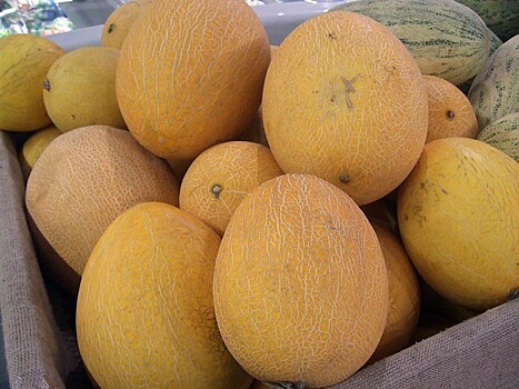 Дыни в июле в среднем подорожали на 10% по сравнению с 2023 годом