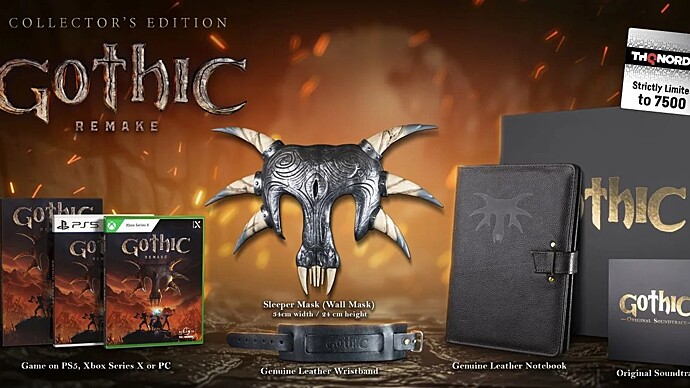 Игроки раскритиковали коллекционное издание Gothic Remake