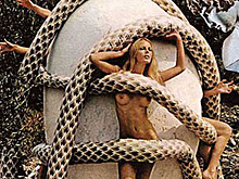 Сальвадор Дали и его совместный проект с Playboy