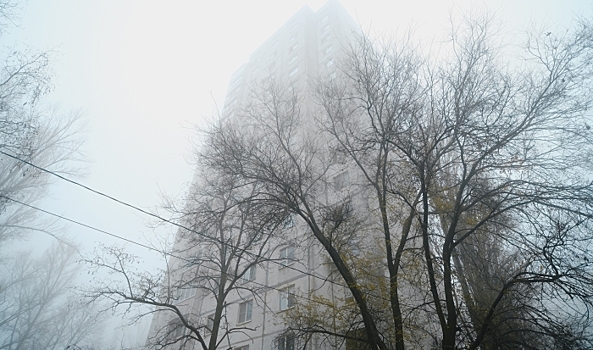 Волгоградцы обсуждают готовность к работе в непогоду, уничтожение БПЛА и елочные базары