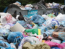 Мусорные дебаты: Синютка предложил Садовому неожиданную идею