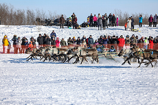 Лучшие каюры определятся в ходе фестиваля оленеводов «Ръилет» на Чукотке