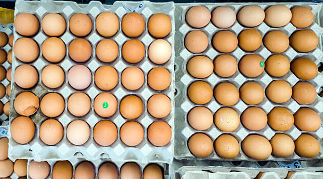 В России захотели взвинтить цены на курицу с яйцами