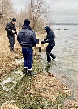 В Волгограде завершились водолазные работы по поиску останков убитой женщины