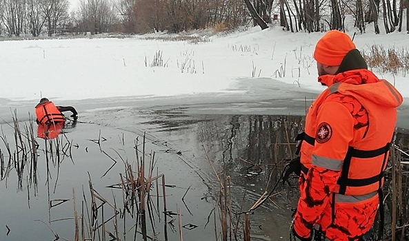 Под Волгоградом волонтеры свернули штаб по поиску пропавшей девочки