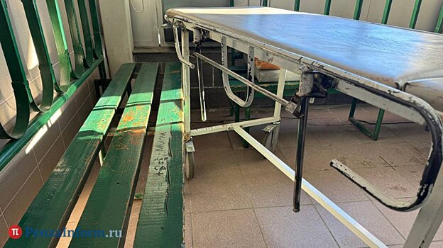 Владельцам полисов зонд в кишечник должны вводить под наркозом