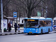 Чемпион Москвы по теннису задавил пенсионерку на Калужском шоссе