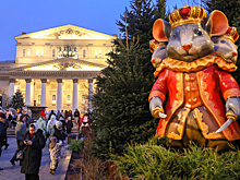 Аукционные продажи «Щелкунчика» в Большом превысили миллион рублей